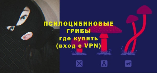 таблы Верея