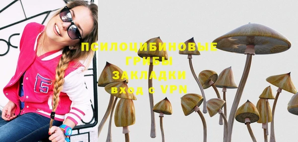 спиды Верхний Тагил