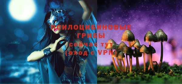 эйфоретик Бородино